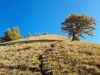 Escursione al Pizzo Corgella in Ticino