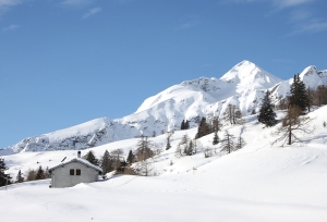 26 gennaio 2025 - Ciaspolata alla capanna Gorda con avviamento all’utilizzo  dell’ ARTVA -  Iscrizioni da lunedì 13.01.2025 a venerdì 17.01.2025 alle 18.00 - Sabato, domenica e festivi iscrizioni chiuse.