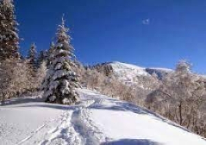 Escursione con le ciaspole al monte Lema