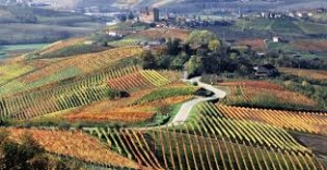 Domenica 13 Ottobre 2024 - Escursione tra i vigneti del Monferrato - Ci sono ancora posti disponibili