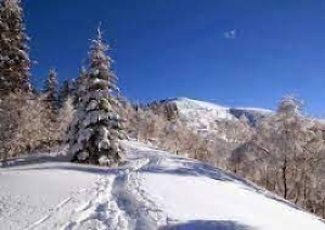 Ciaspolata ad anello sul monte Lema