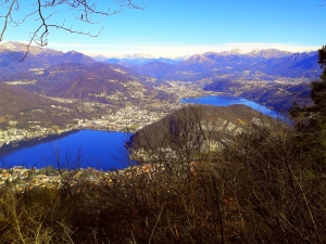 Venerdì 7 febbraio 2025 - Escursione a passo lento - Marzio e le sue gemme