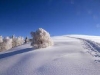 Ciaspolata di S. Stefano al monte Lema