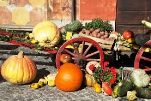 Domenica 20 ottobre 2024 - Escursione alla Sagra della zucca in Agra