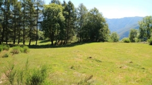 Venerdì 25 settembre 2026 – Passo lento – Riproposta l'escursione all’Alpe Cangei o Alpe di Armio