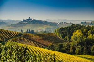 Escursione tra i vigneti del Monferrato